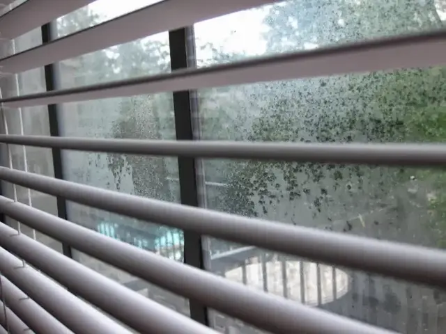 Condensation spots on a window behind blinds