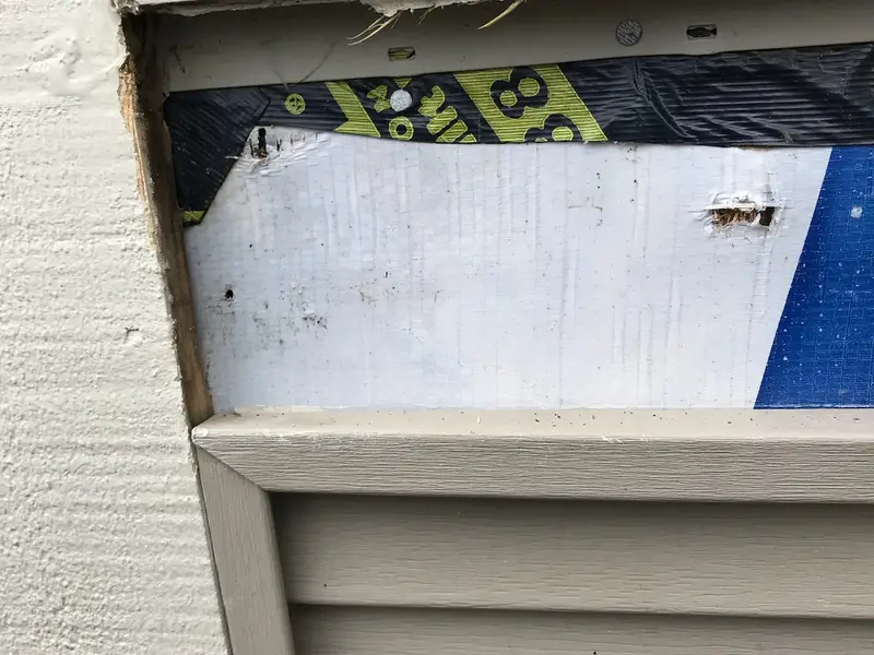 Window opening with house wrap and siding pulled back during repair